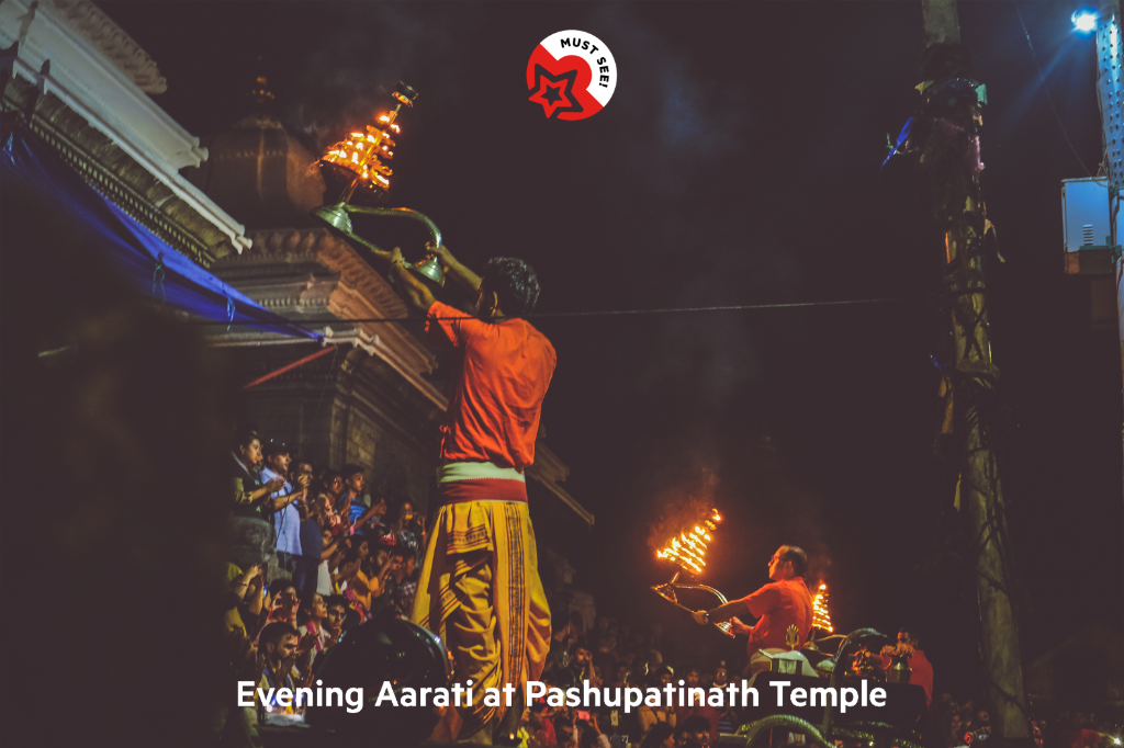 Hotel Pashupati Plaza 5/46