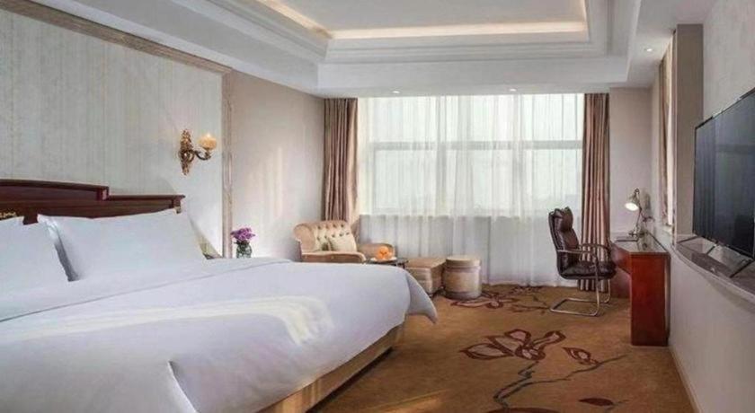 Vienna International Hotel (Wuxi Taihu Expo Center) 22/47