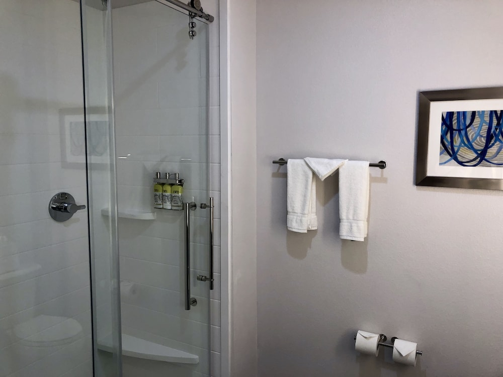 Holiday Inn Express and Suites Houston Westchase - Westheimer 17/59