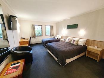 Basic, Studio, Multiple Beds