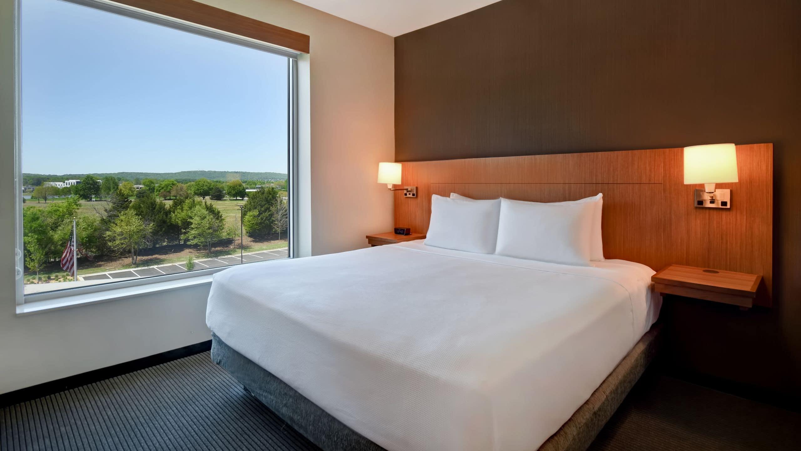 Room, King Bed