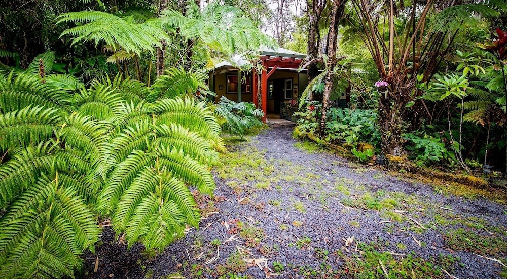 Volcano Mist Cottage 16/20