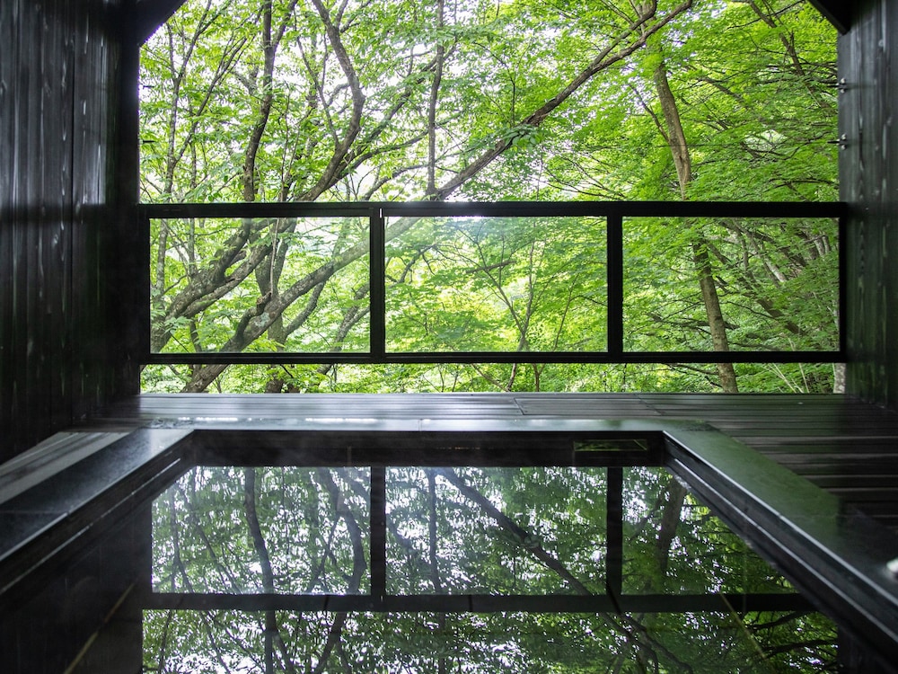 Tateshina Shinyu Onsen 30/67
