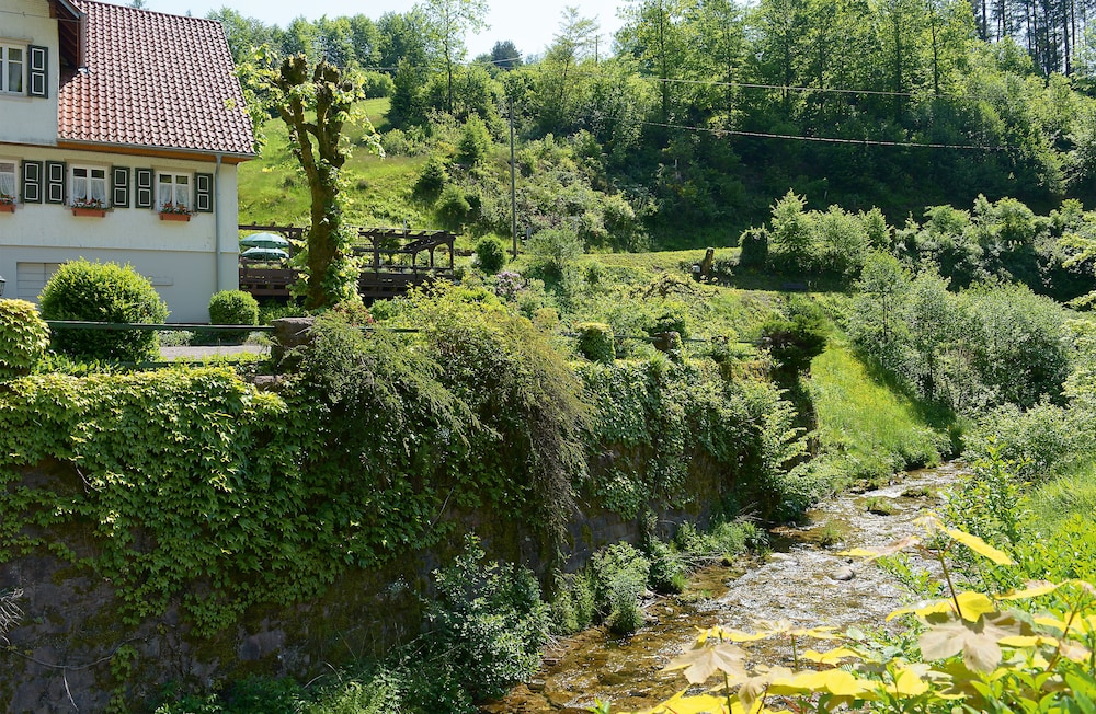 Gasthof Blume 41/50