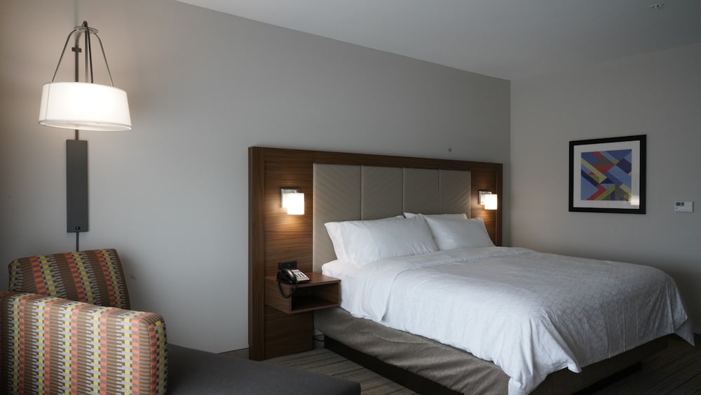 Holiday Inn Express & Suites Dallas Market Center – Love Fi 18/57
