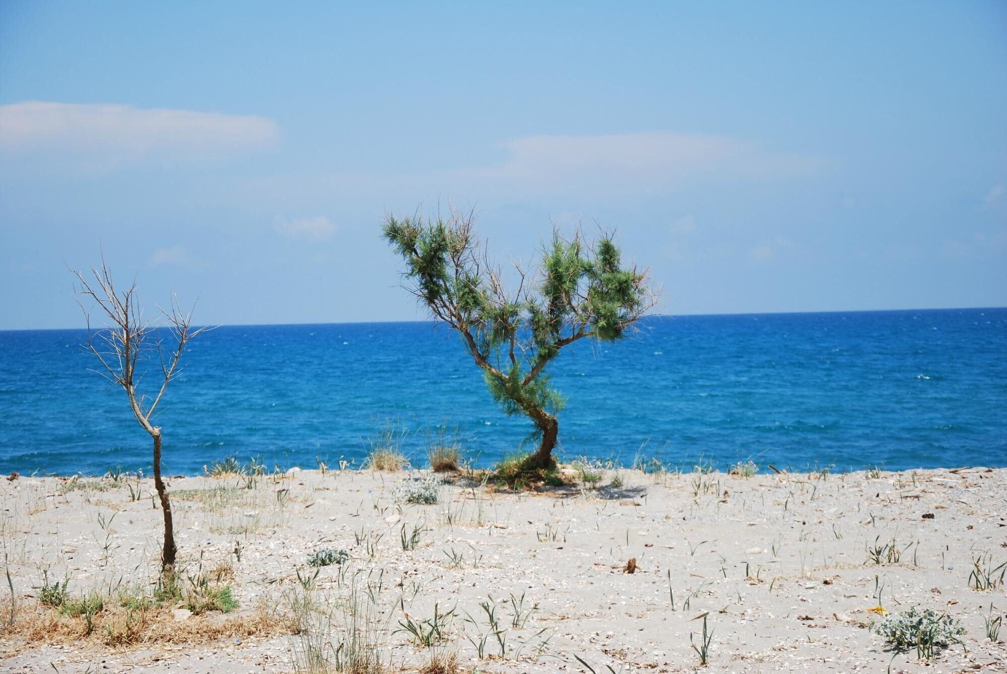 Lito Beach 59/66