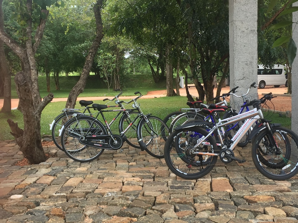 Sigiriya Jungles 30/50