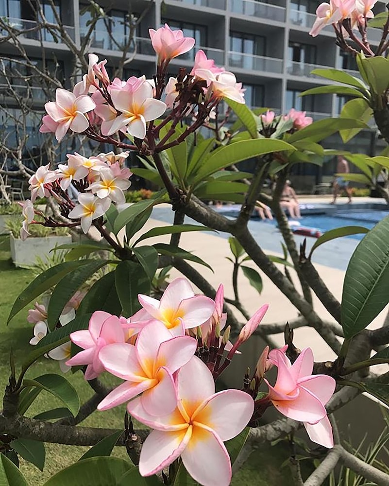The Club Waskaduwa Beach Resort Spa 68/69