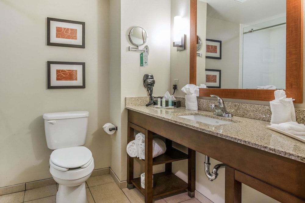Comfort Suites Dunnellon near Rainbow Springs 12/40
