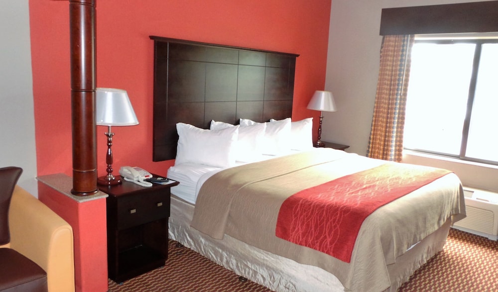 Red Roof Inn and Suites Detroit - Melvindale / Dearborn 13/42