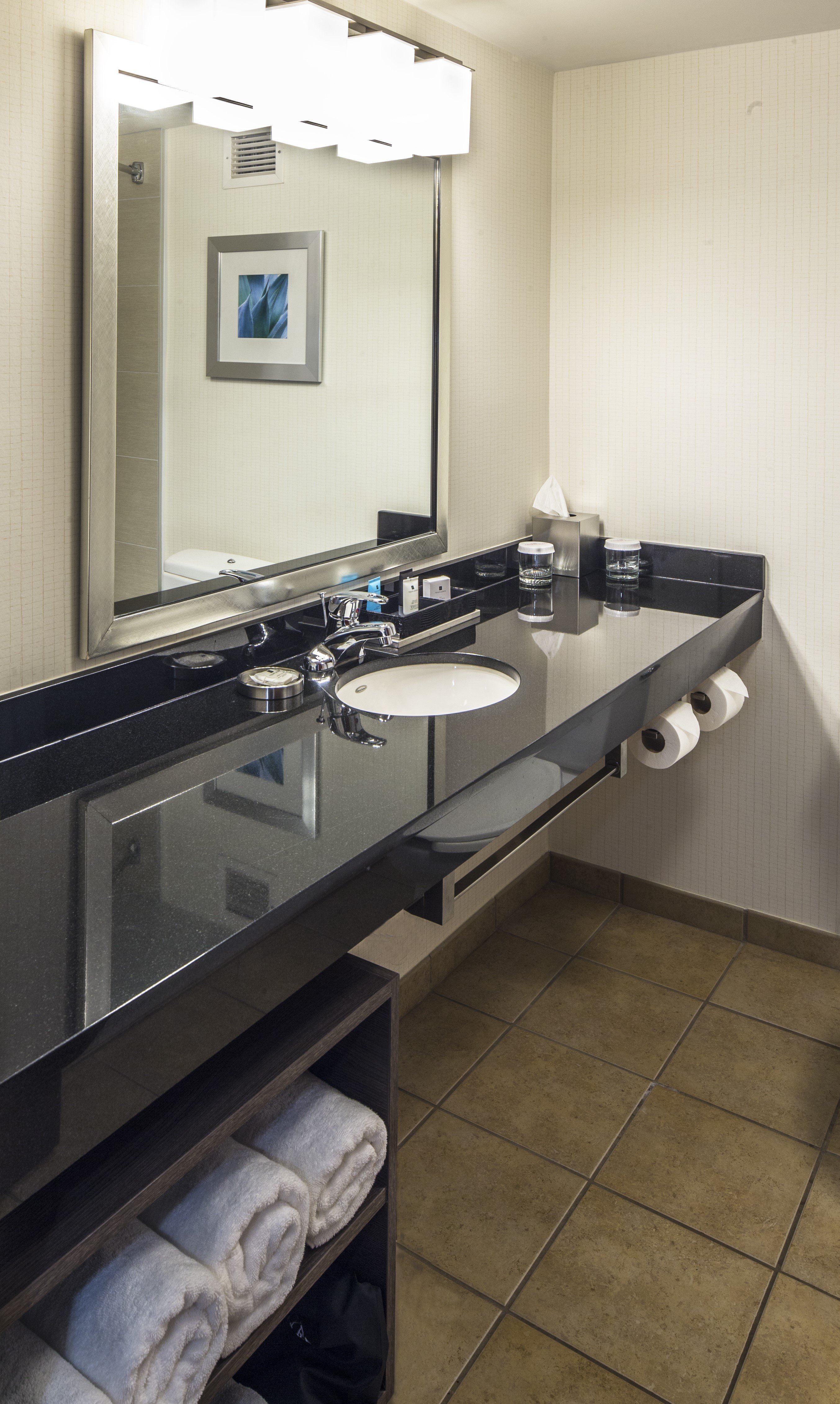 Crowne Plaza Suites Pittsburgh South 70/76