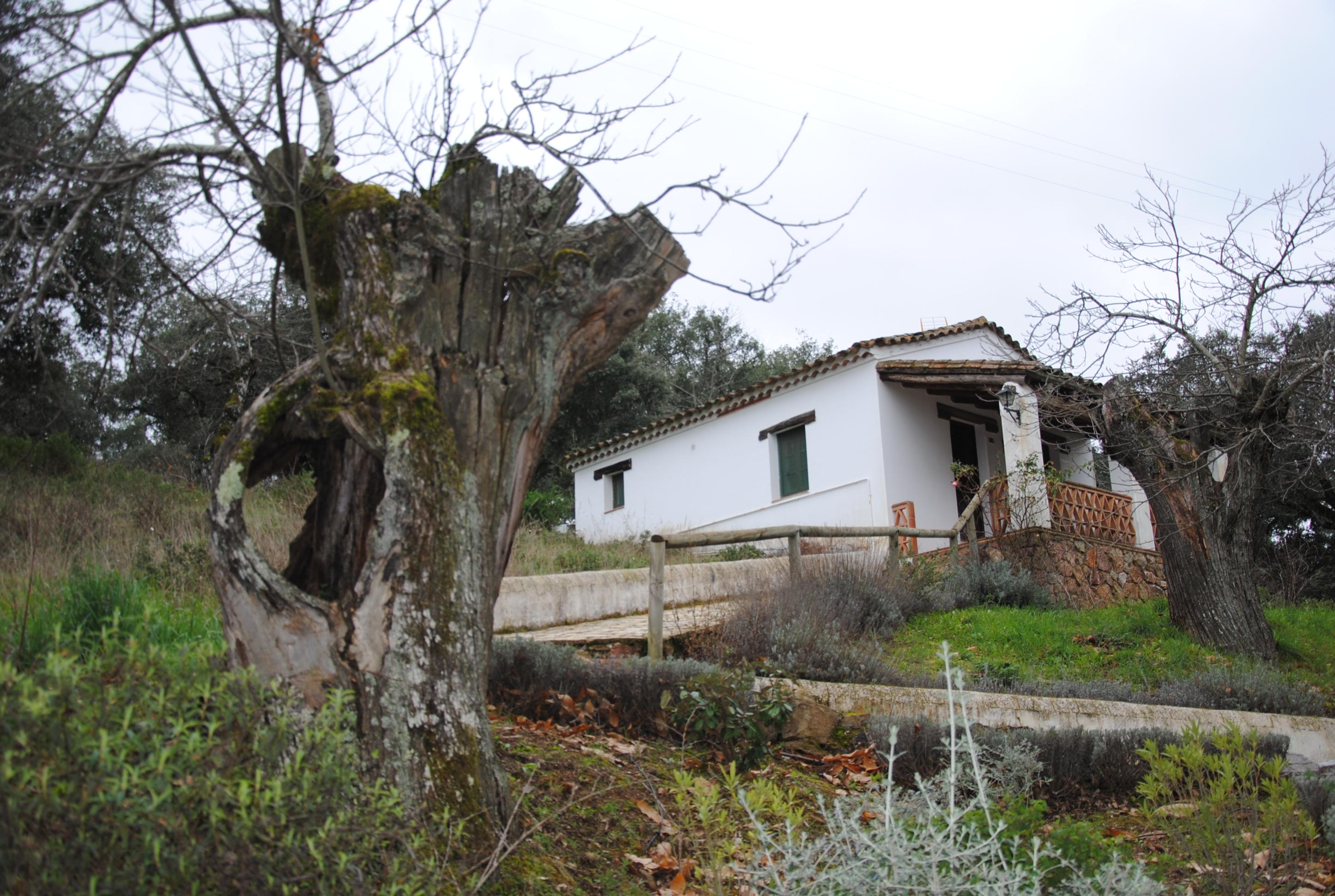 Finca Valbono 33/49