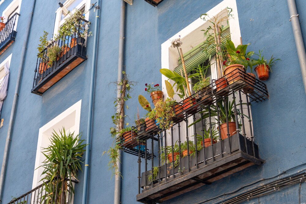 ライムホーム・マドリード・カジェ・アベ・マリア 写真1