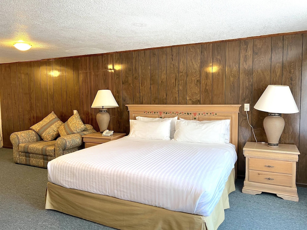 Biohotel 49/67