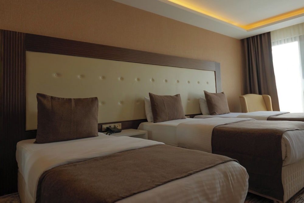 Van Life Otel 23/50