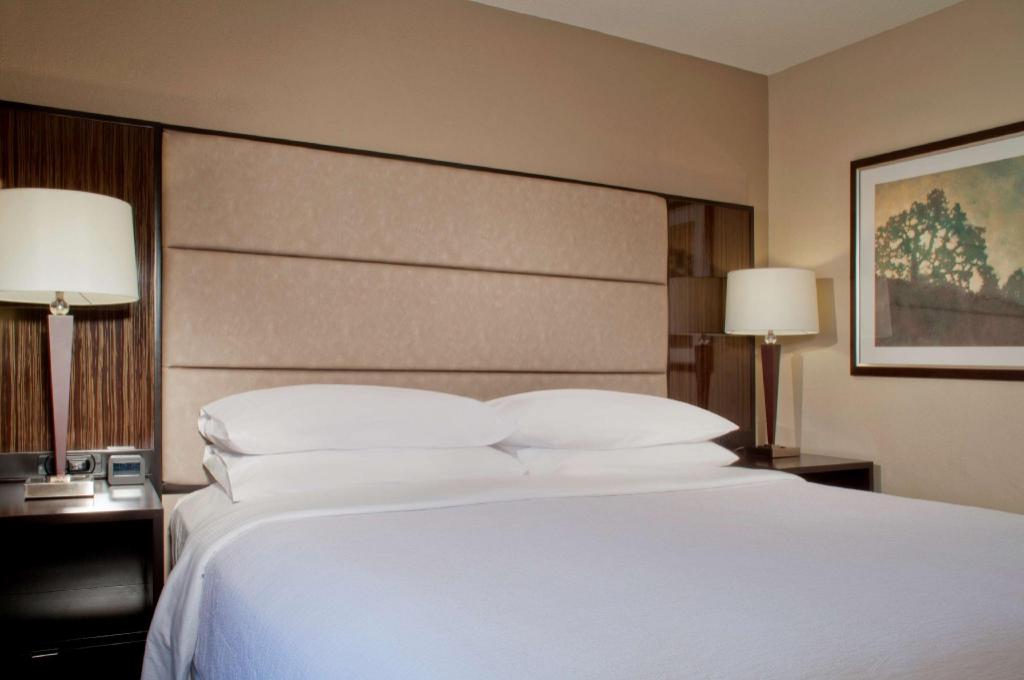 PREMIUM, SUITE, KING BED, ACCESSIBLE
