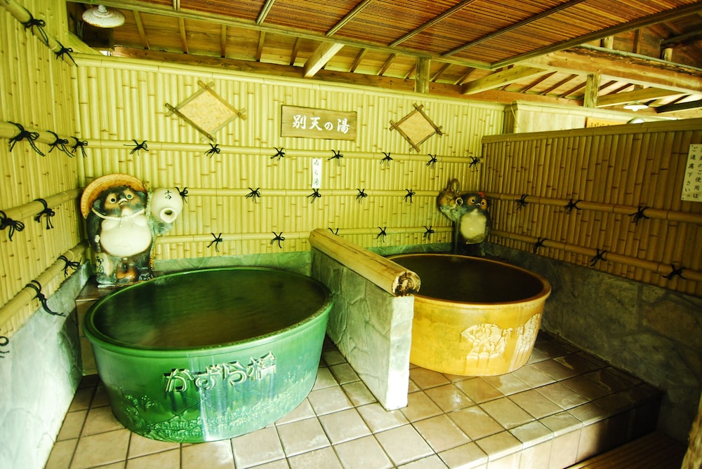 Shin Iya Onsen Hotel Kazurabashi 40/55