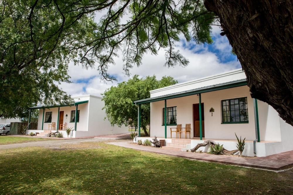 Olive Grove Guest Farm 35/50