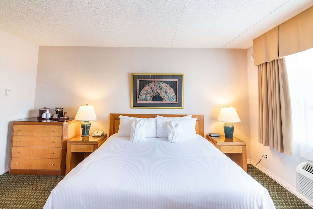 Ramada by Wyndham Thunder Bay Airlane Hotel 9/50