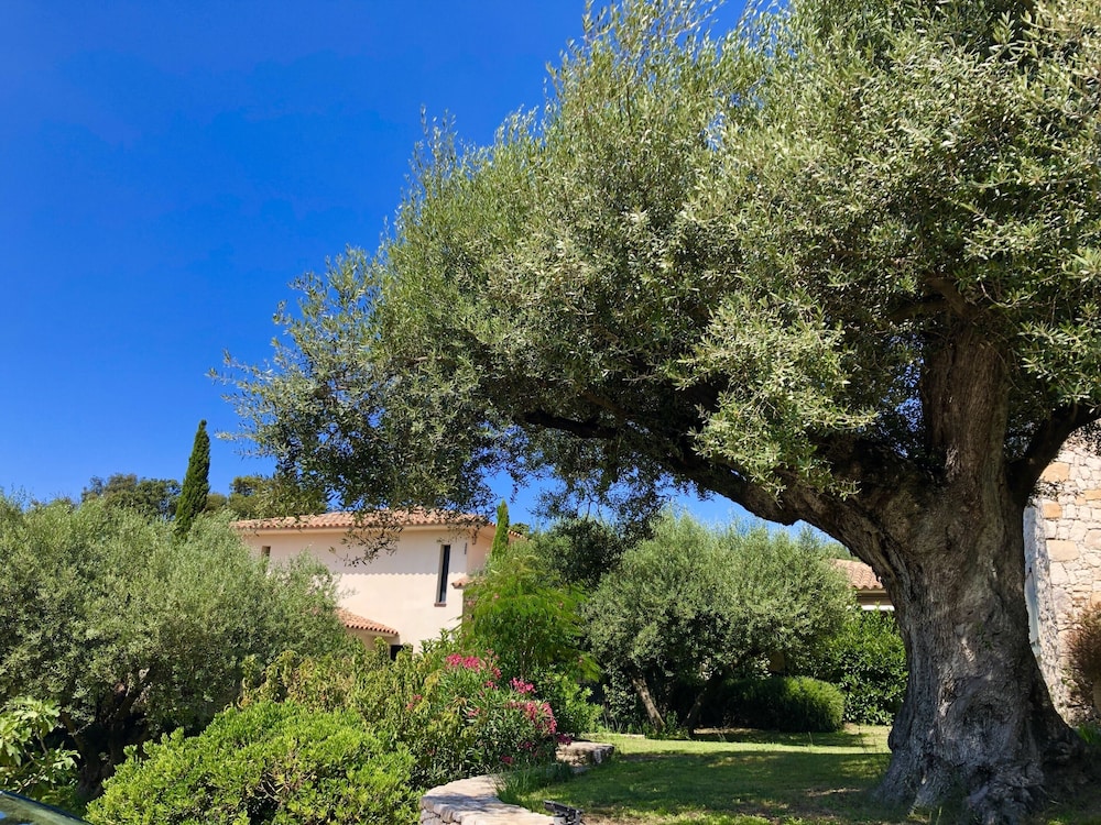 Nature Et Design 14/24