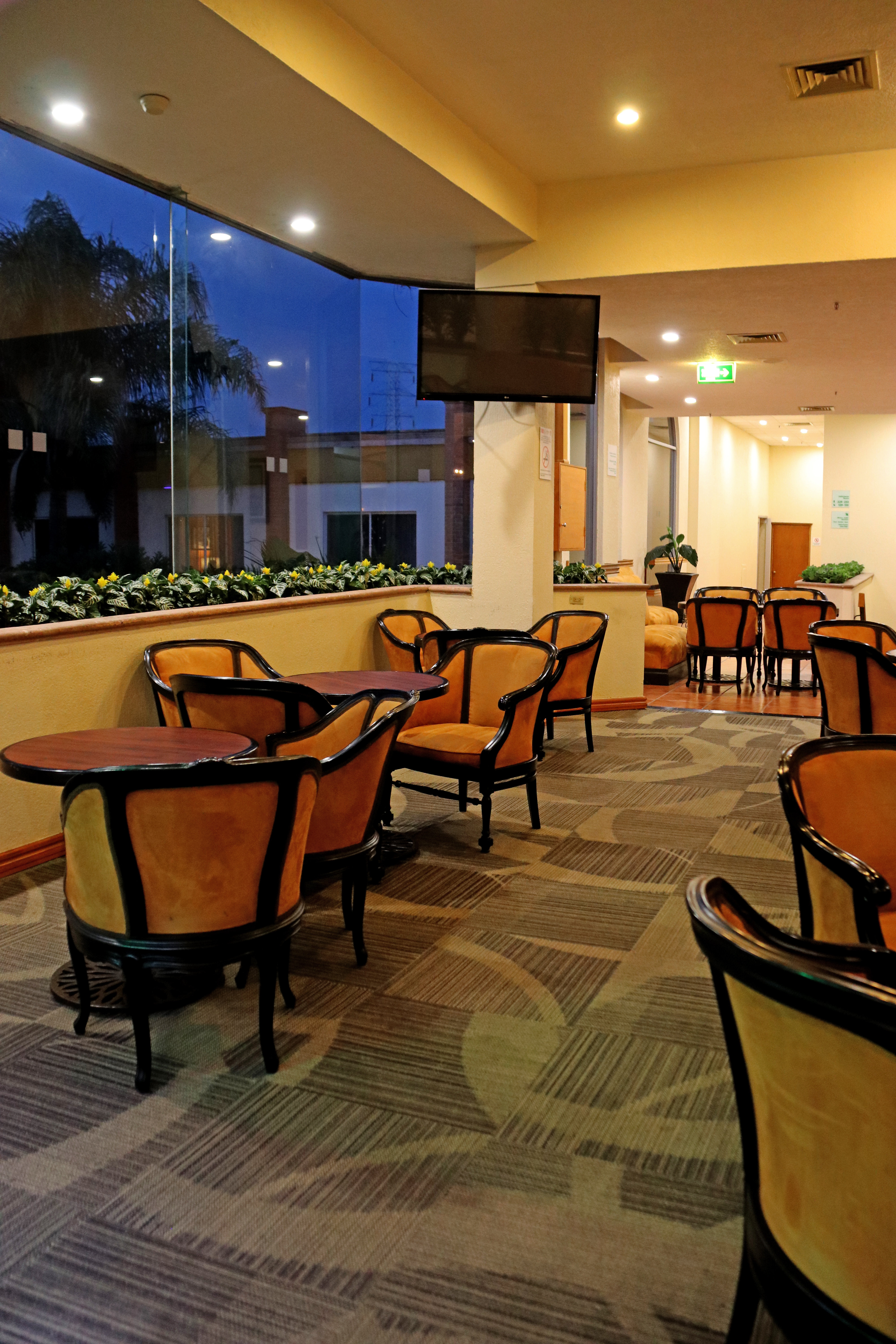 Holiday Inn La Piedad 33/55