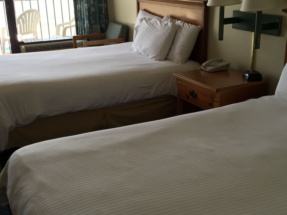 Windsurfer Hotel 8/49
