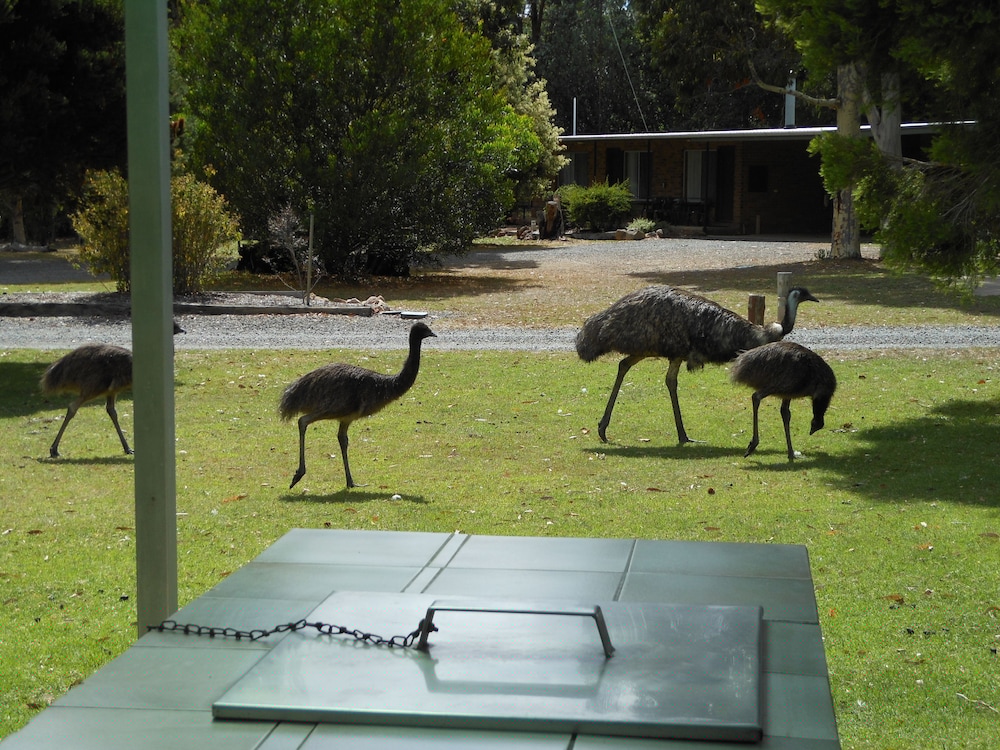 GRAMPIANS VIEW COTTAGES AND UNITS 30/64