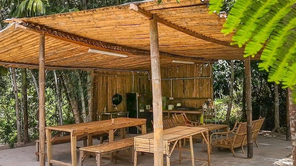 Rain Forest Inn 47/66
