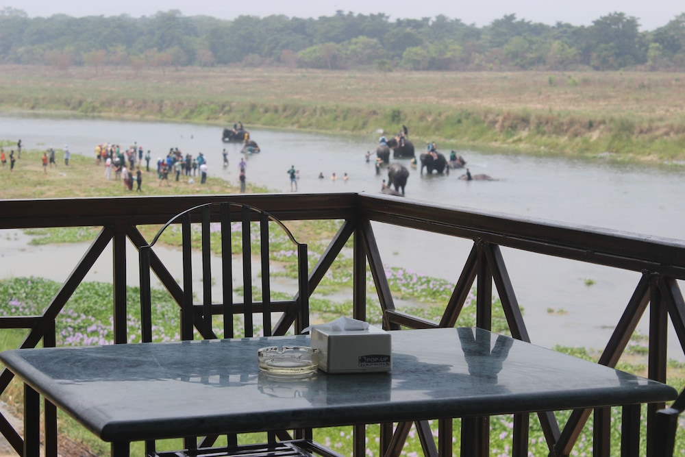 Jungle Wildlife Camp 38/41