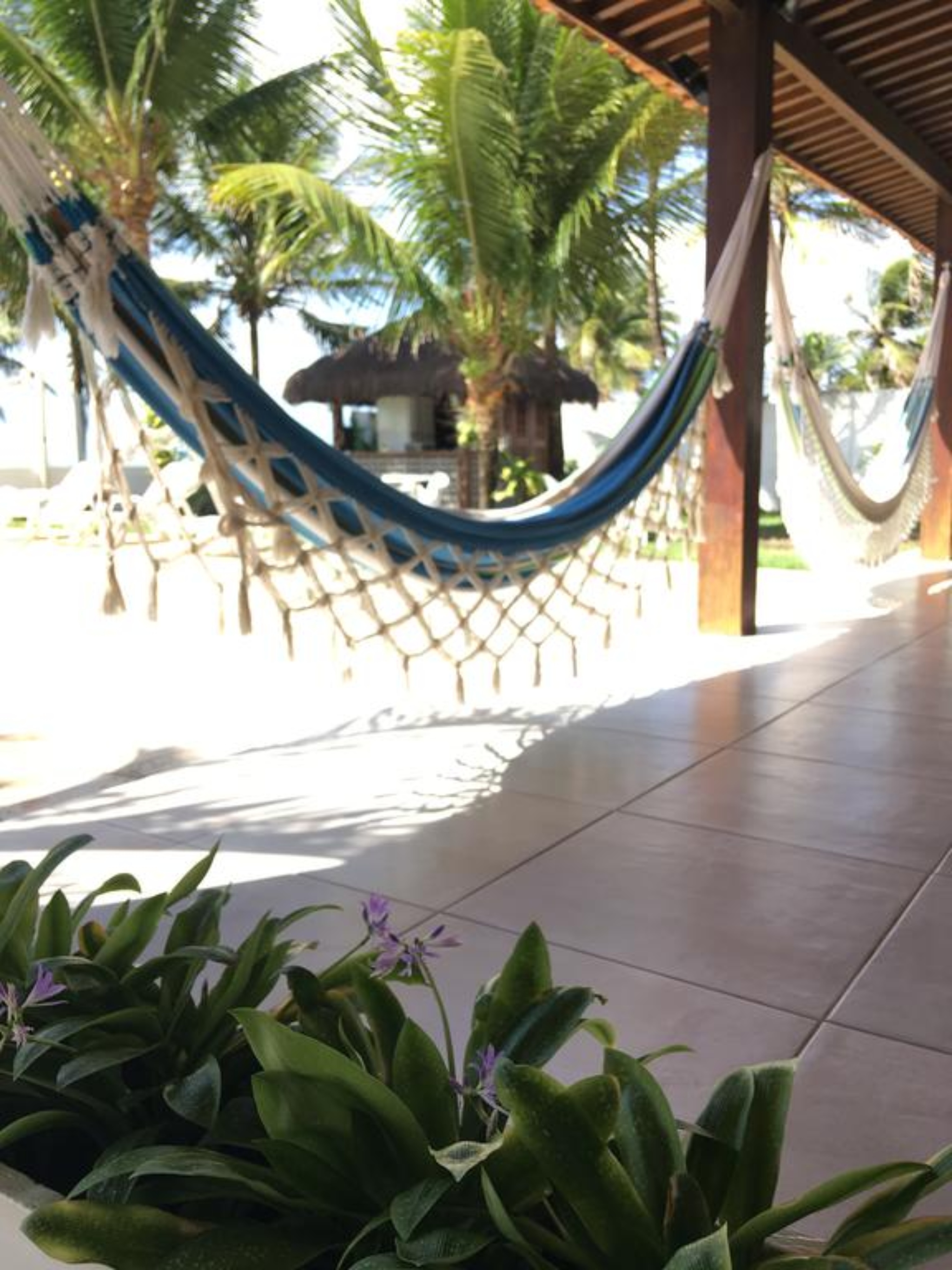 Numar Hotel 4/30