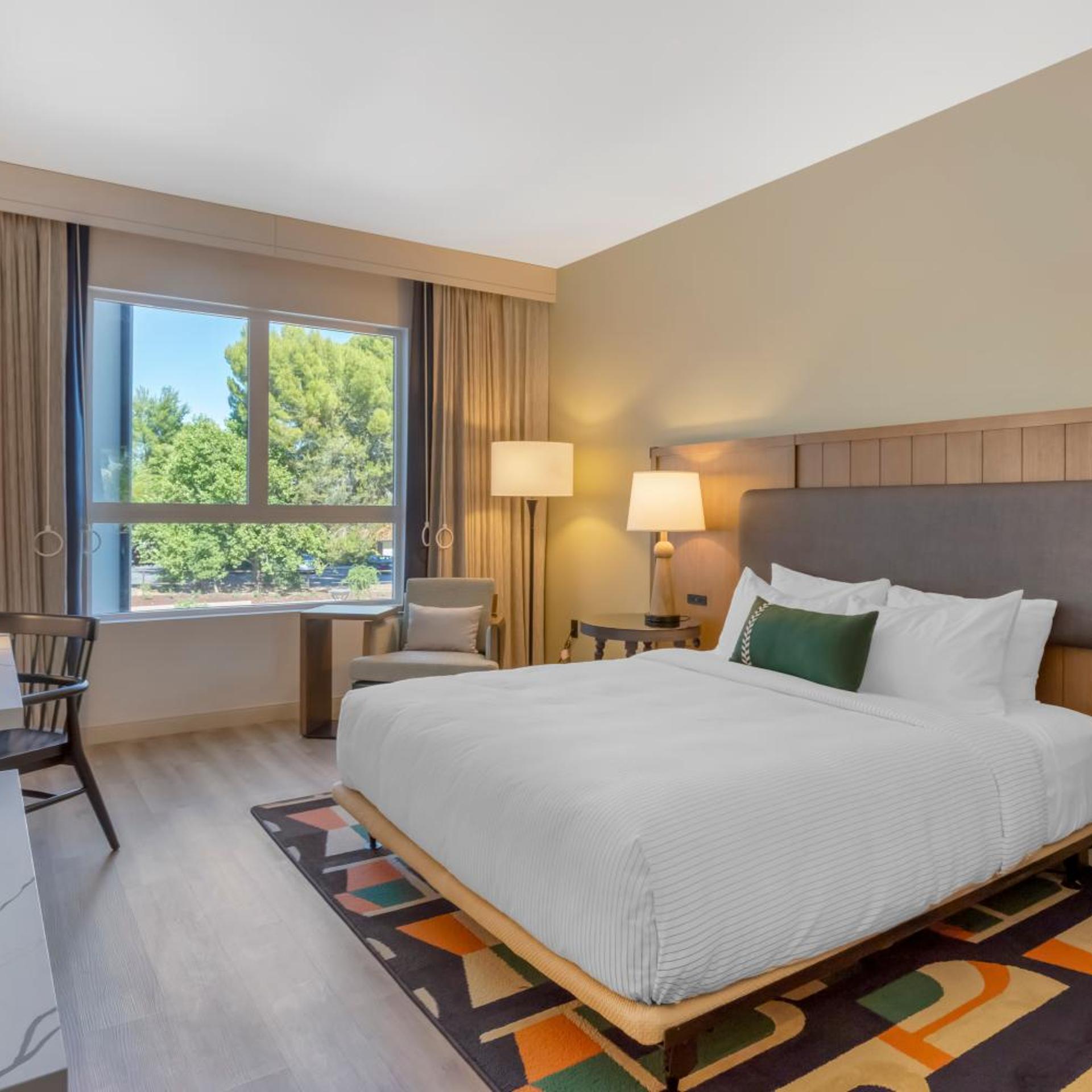 Room, King Bed, Bathtub, Accessible