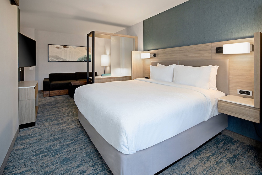 SpringHill Suites by Marriott Valencia 13/38