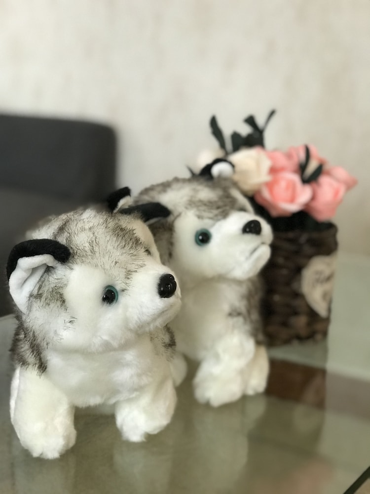 西安 フェニックス ホリデー ホテル 写真2