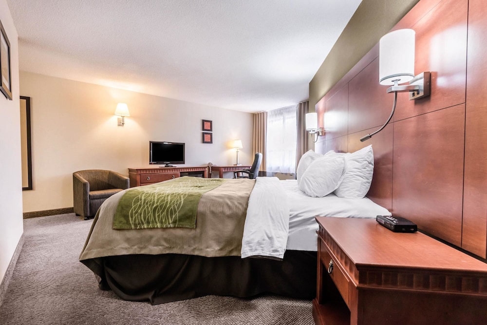 Comfort Inn & Suites Barrie 21/51