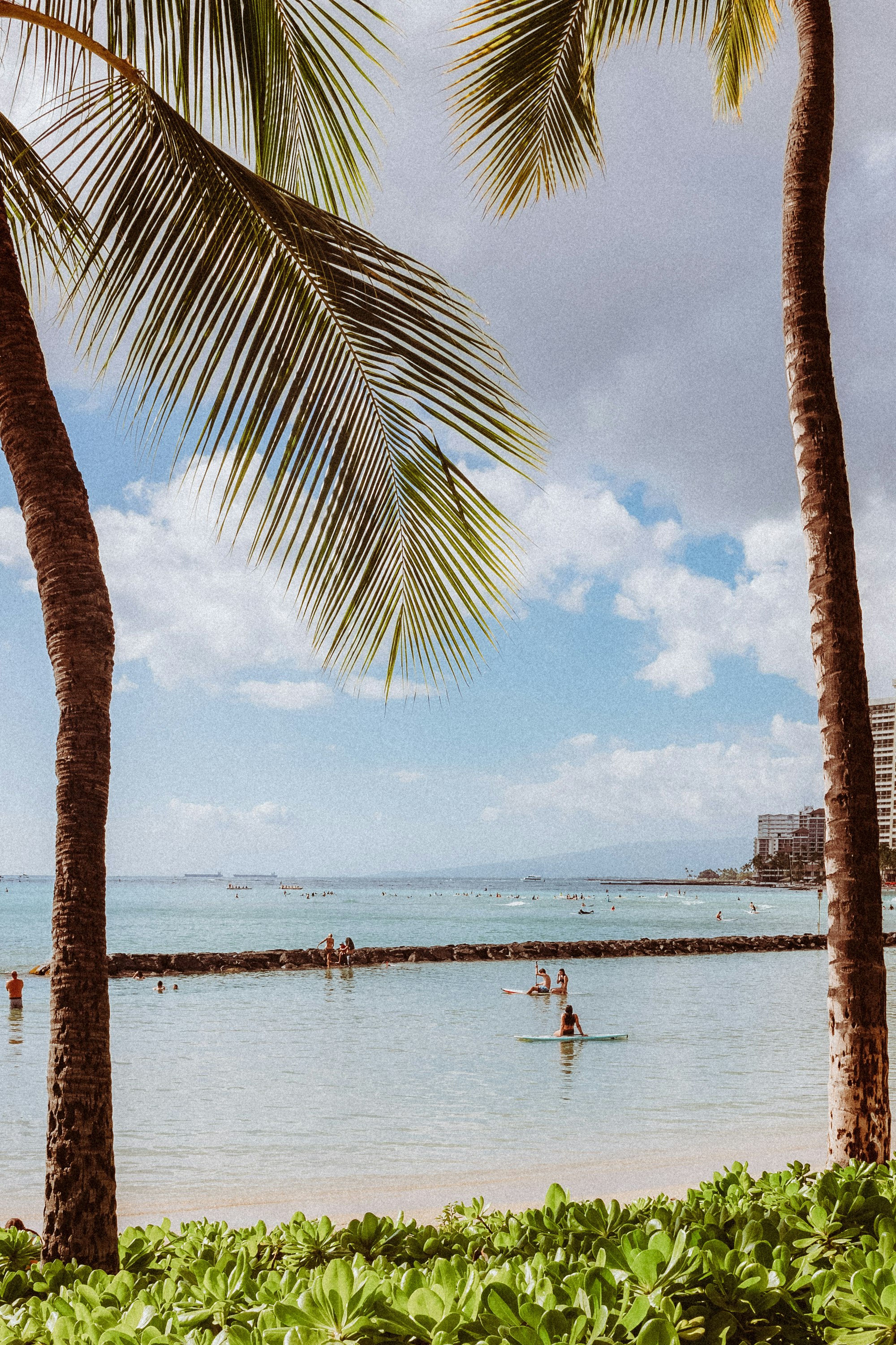 Royal Grove Waikiki 43/52