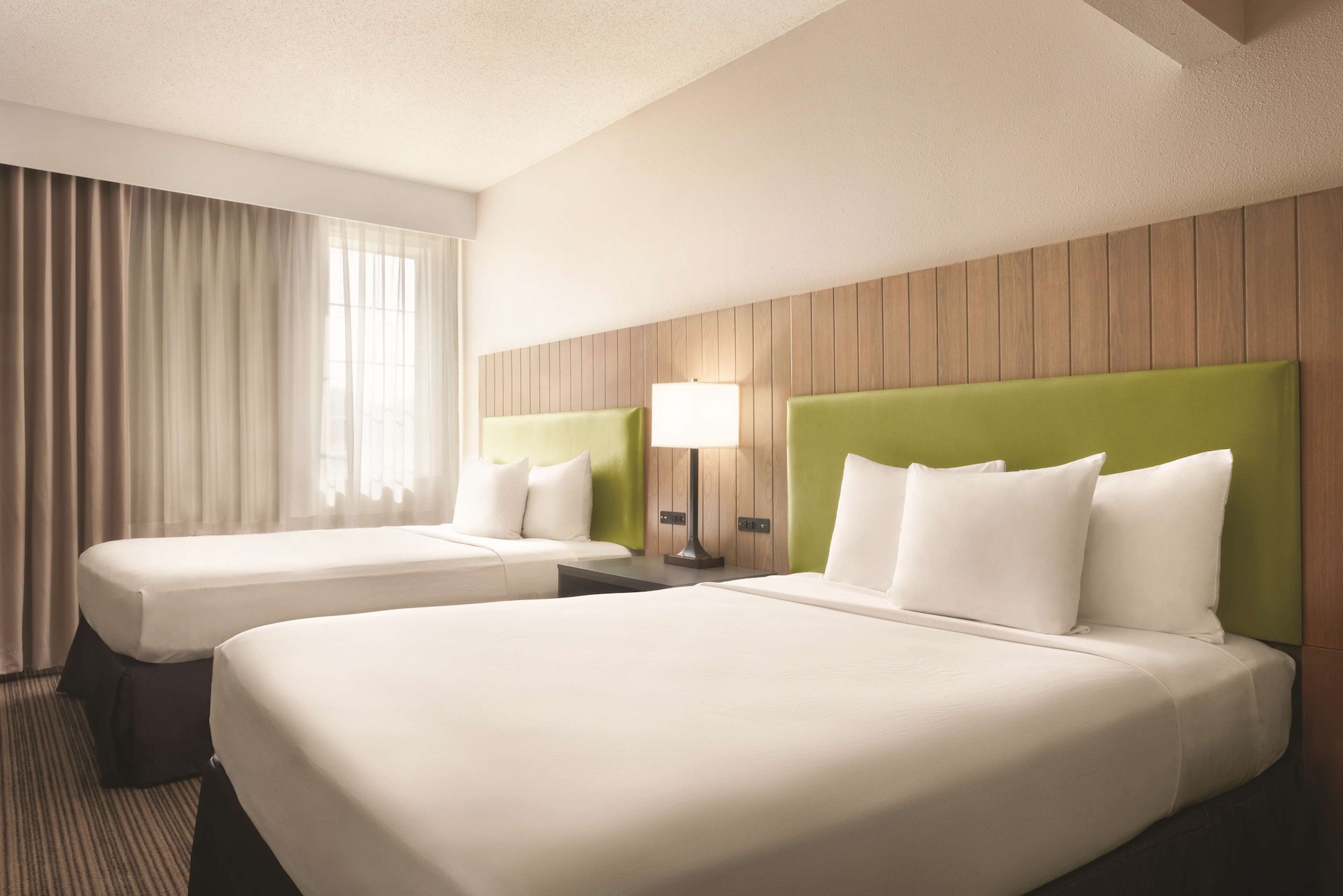 Studio, Suite, 2 Queen Beds