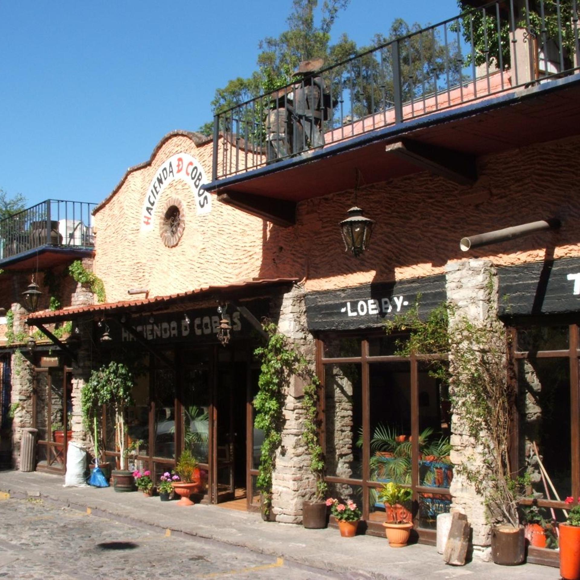 Hotel Hacienda De Cobos 1/50