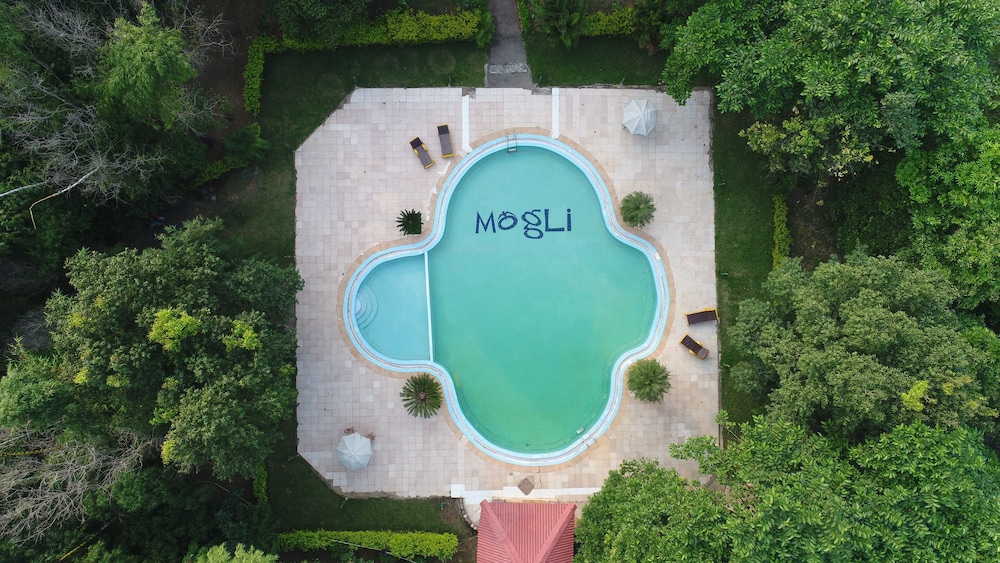 Mogli Jungle Resorts 38/47