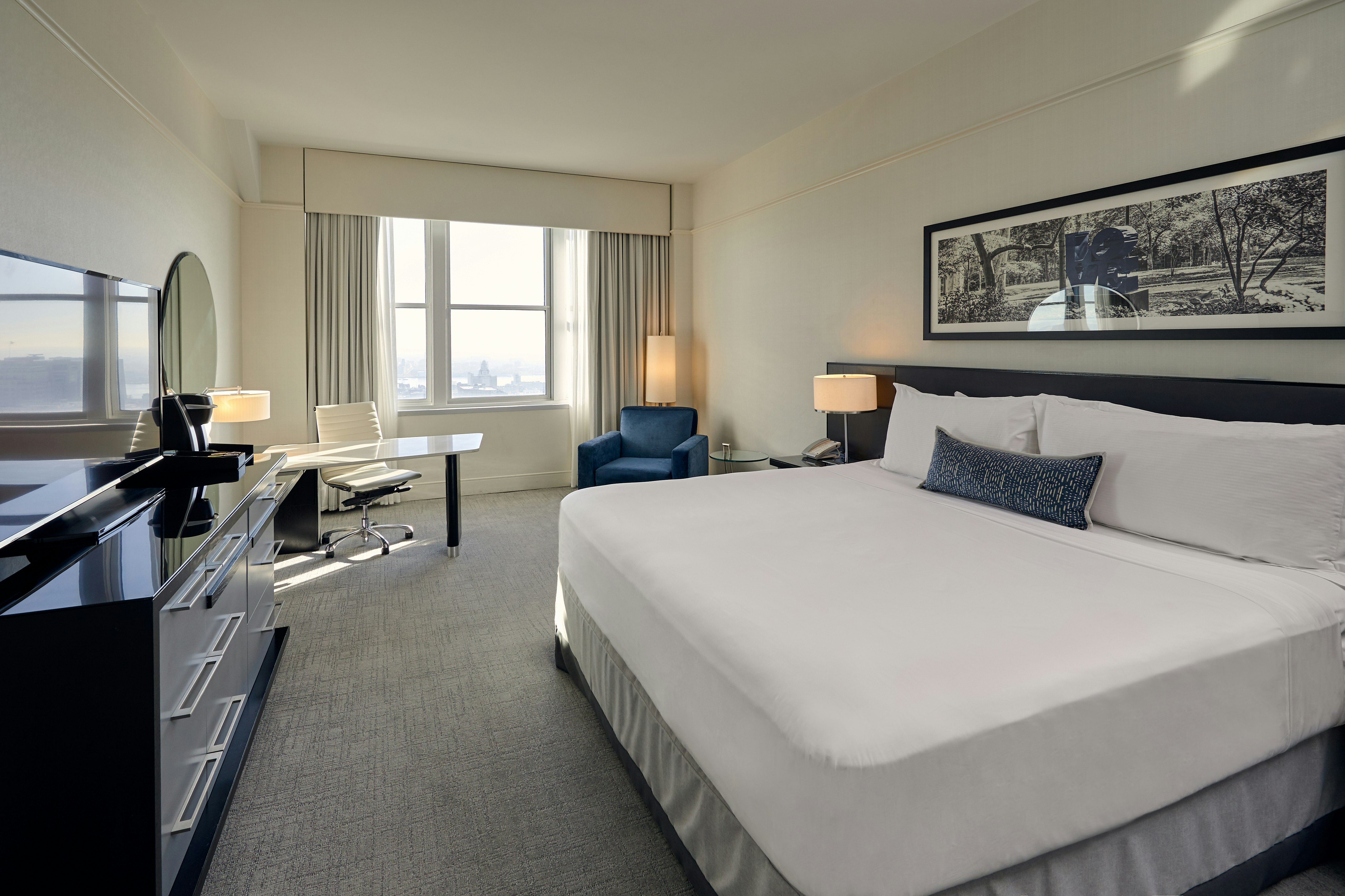Deluxe, King Bed