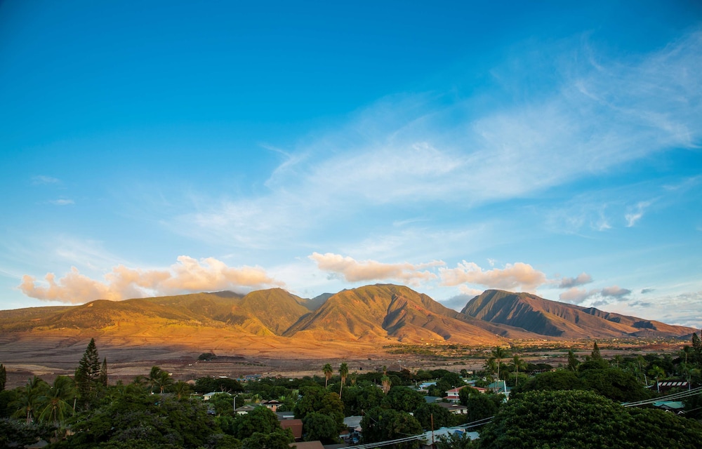 Lahaina Shores Beach Resort 50/57