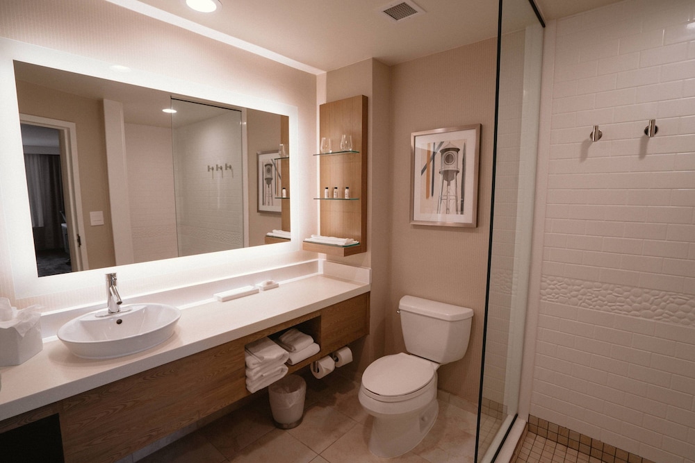 Delta Hotels by Marriott Raleigh-Durham at Research Triangle Park 9/36