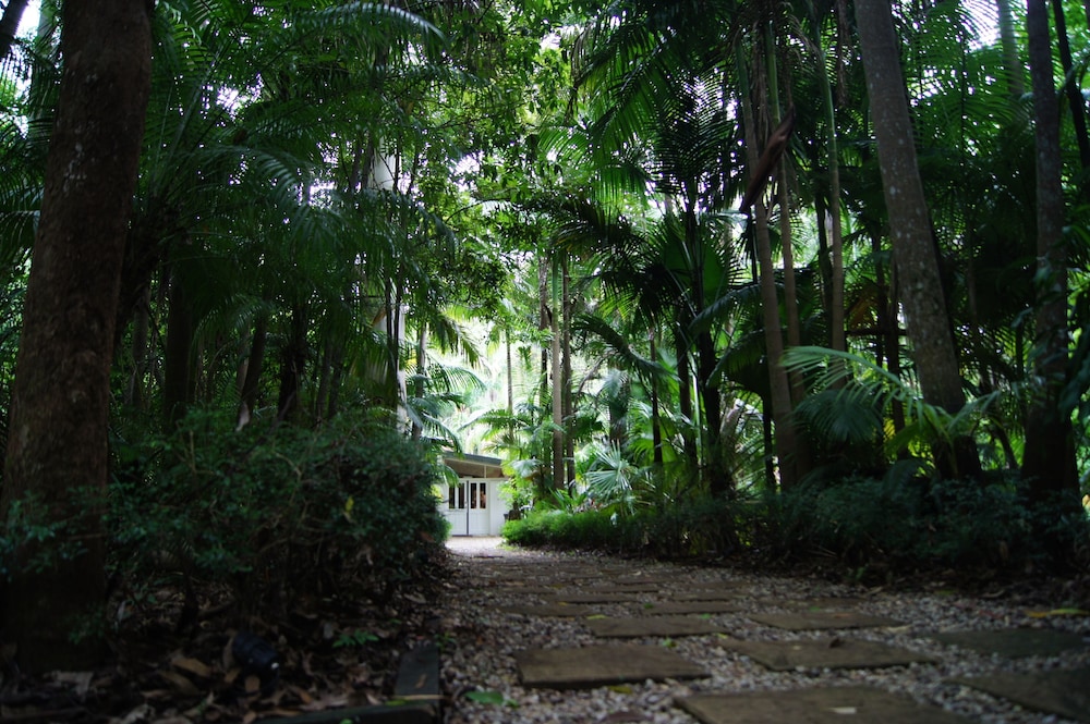 Songbirds Rainforest Retreat 34/50