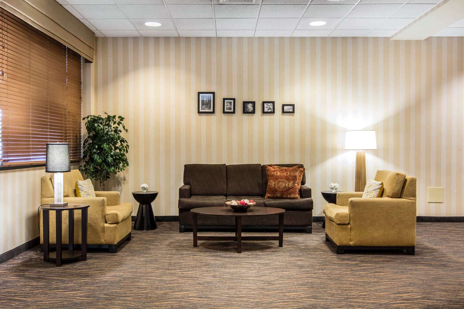 Sleep Inn Lake Wright Norfolk Airport 27/55