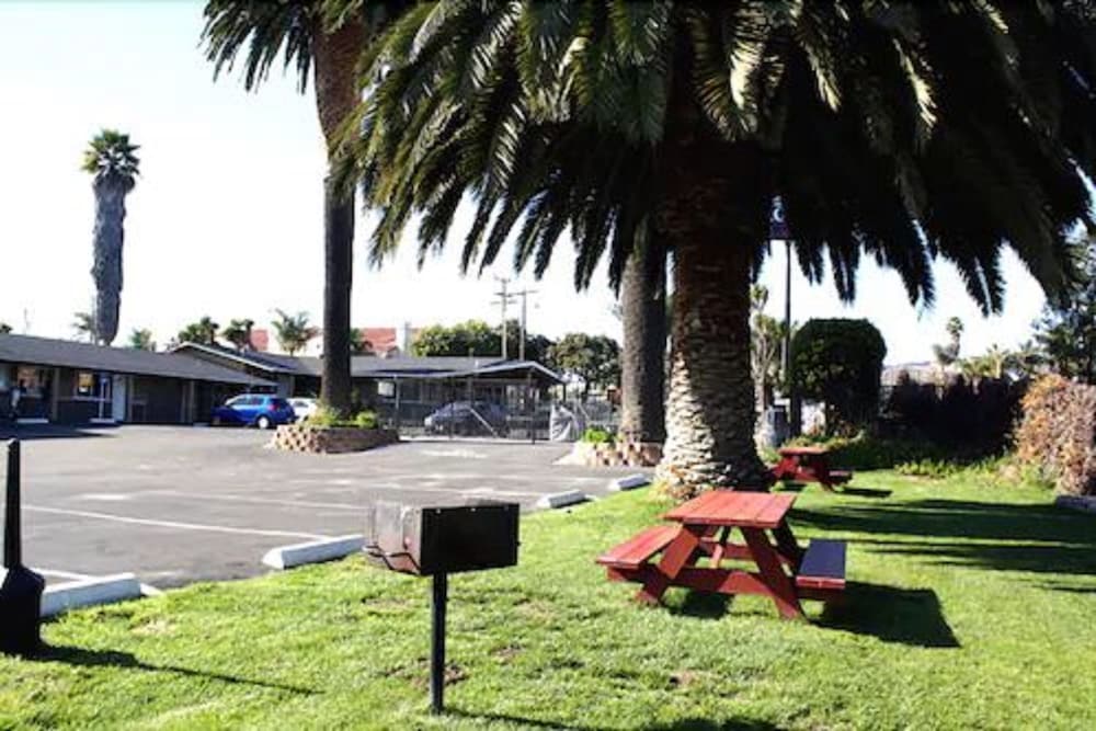 Ocean Palms Motel 35/47
