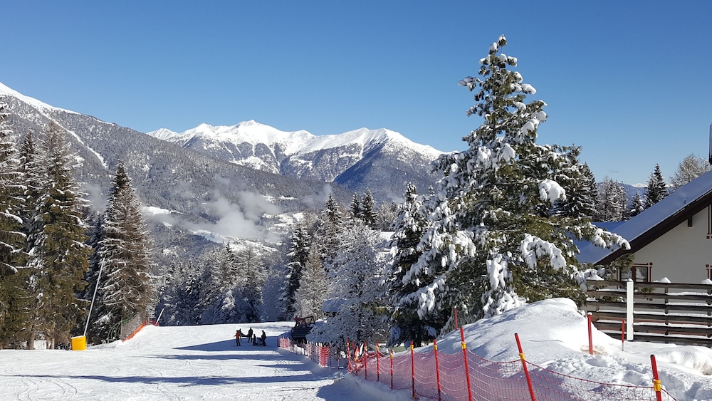 NEVESOLE FOLGARIDA 39/43