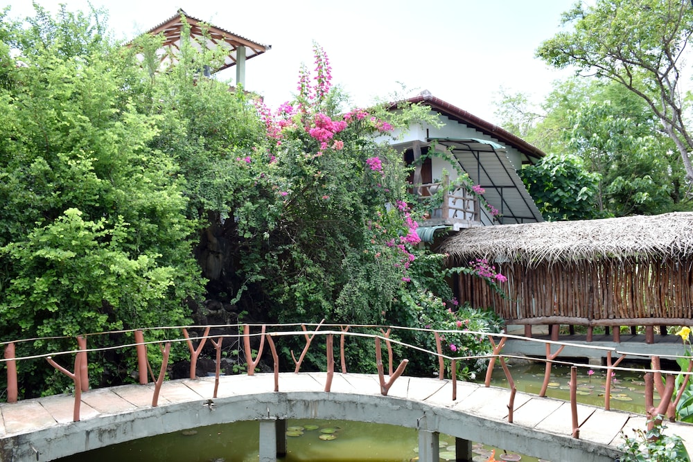 Hungry Lion Resort 34/43