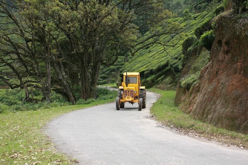 Wild Elephant Eco Friendly Resort 16/32