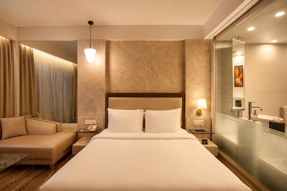 Radisson Blu Bengaluru Outer Ring Road (ex Park Plaza Bengaluru Hotel) 23/74