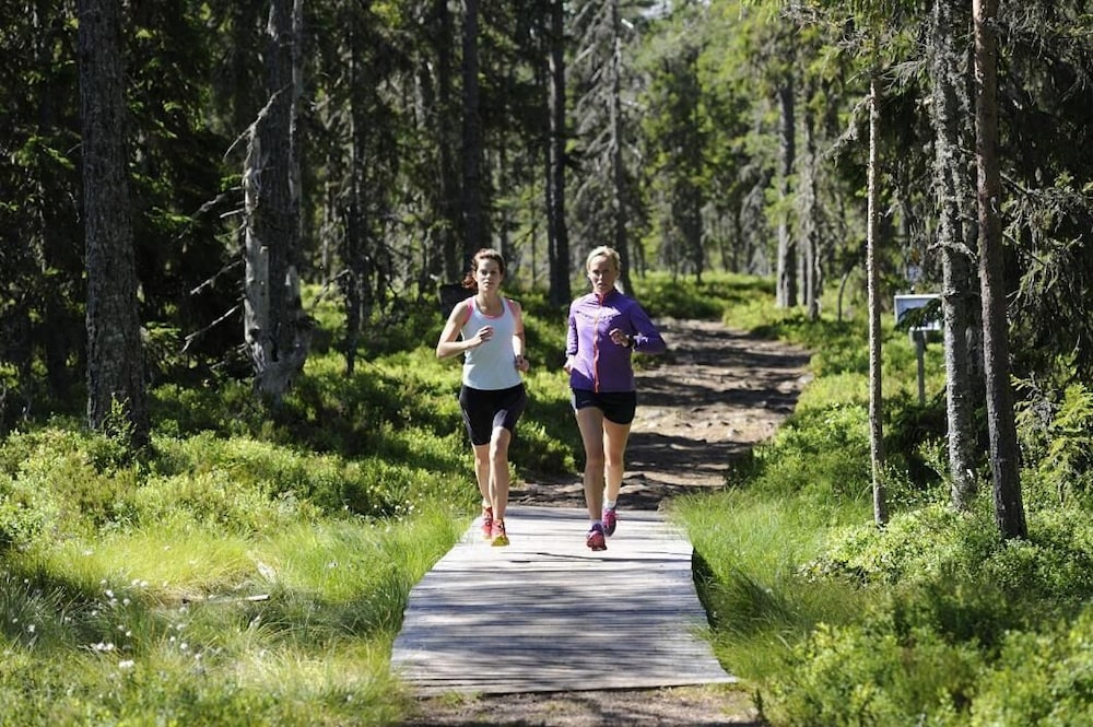 Orsa Grönklitt 40/44