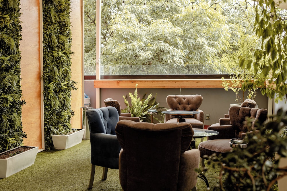 Maria Condesa Boutique Hotel 33/50